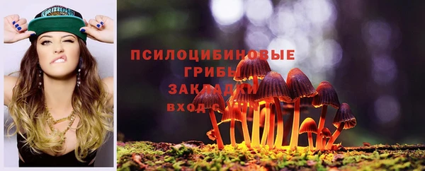 спиды Переславль-Залесский